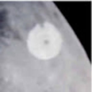 Meet your Posher, Dina